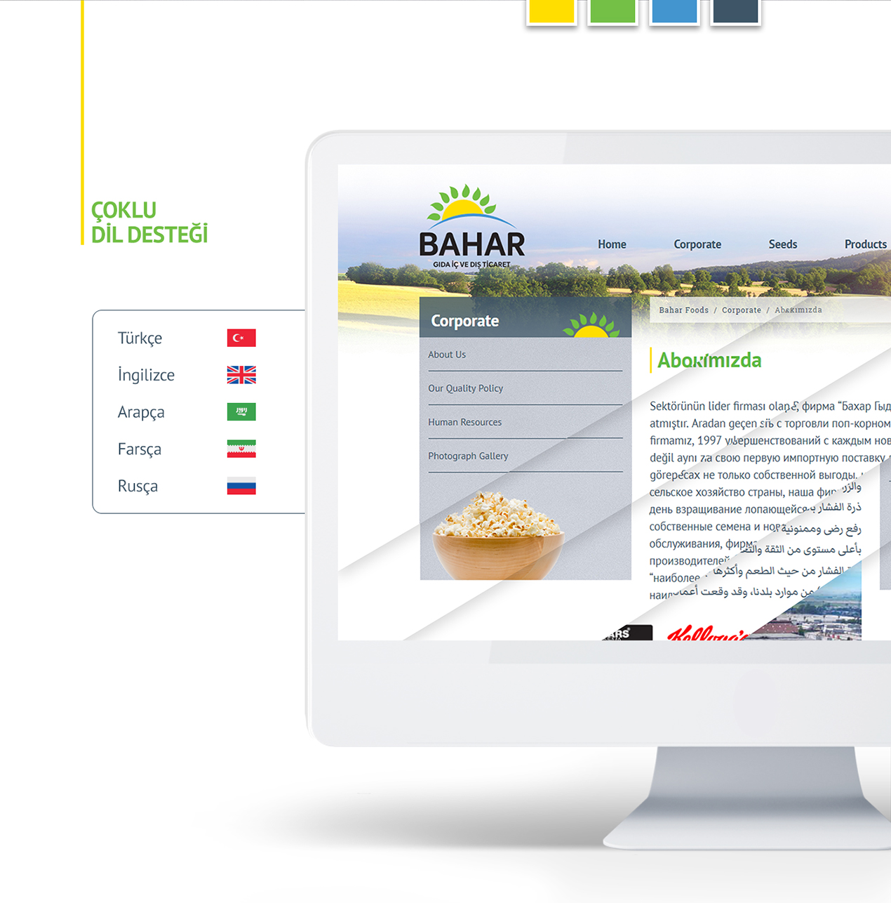 adana bahar gıda web sitesi tasarımı