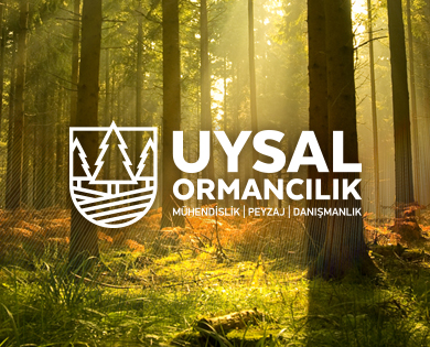 Uysal Ormancılık